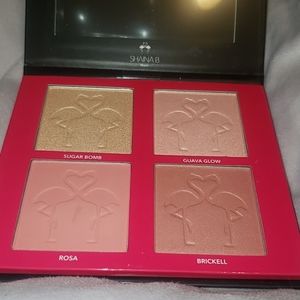 Shaina B. Miami Palette